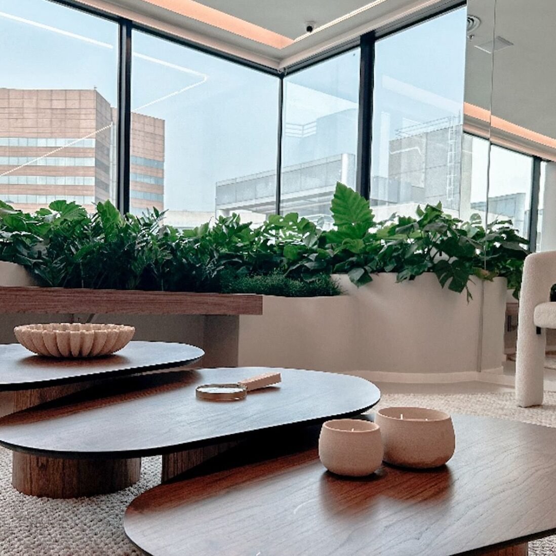 WhatsApp Image 2026-01-01 at 23.15.45 (2)