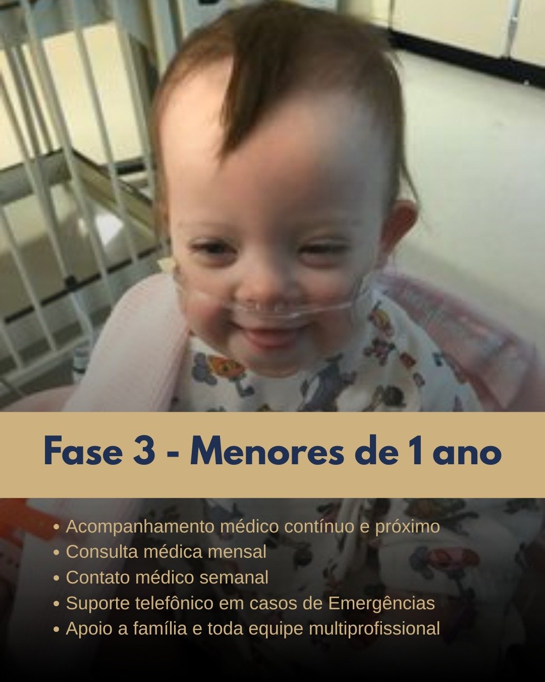 Fase 3