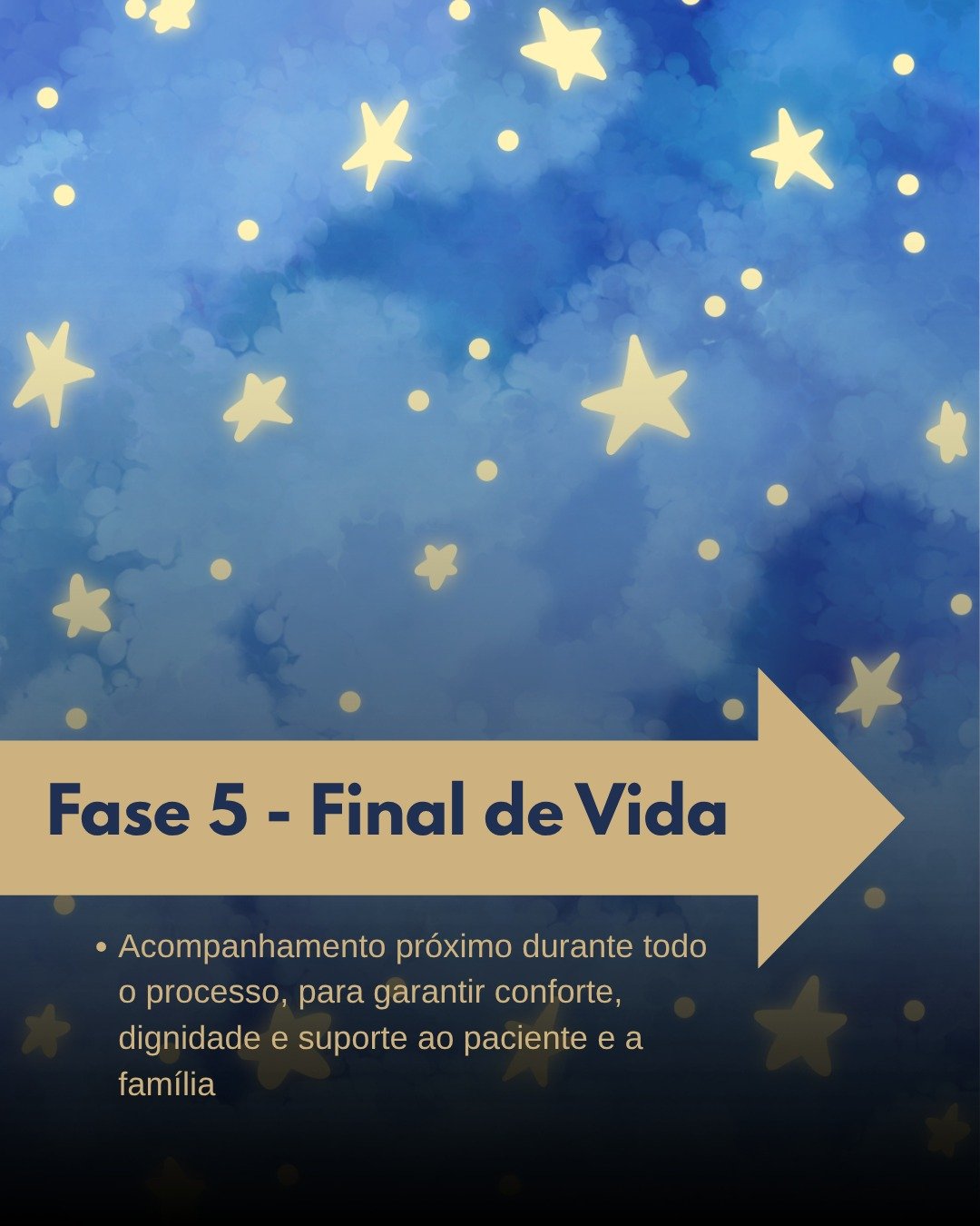 Fase 5