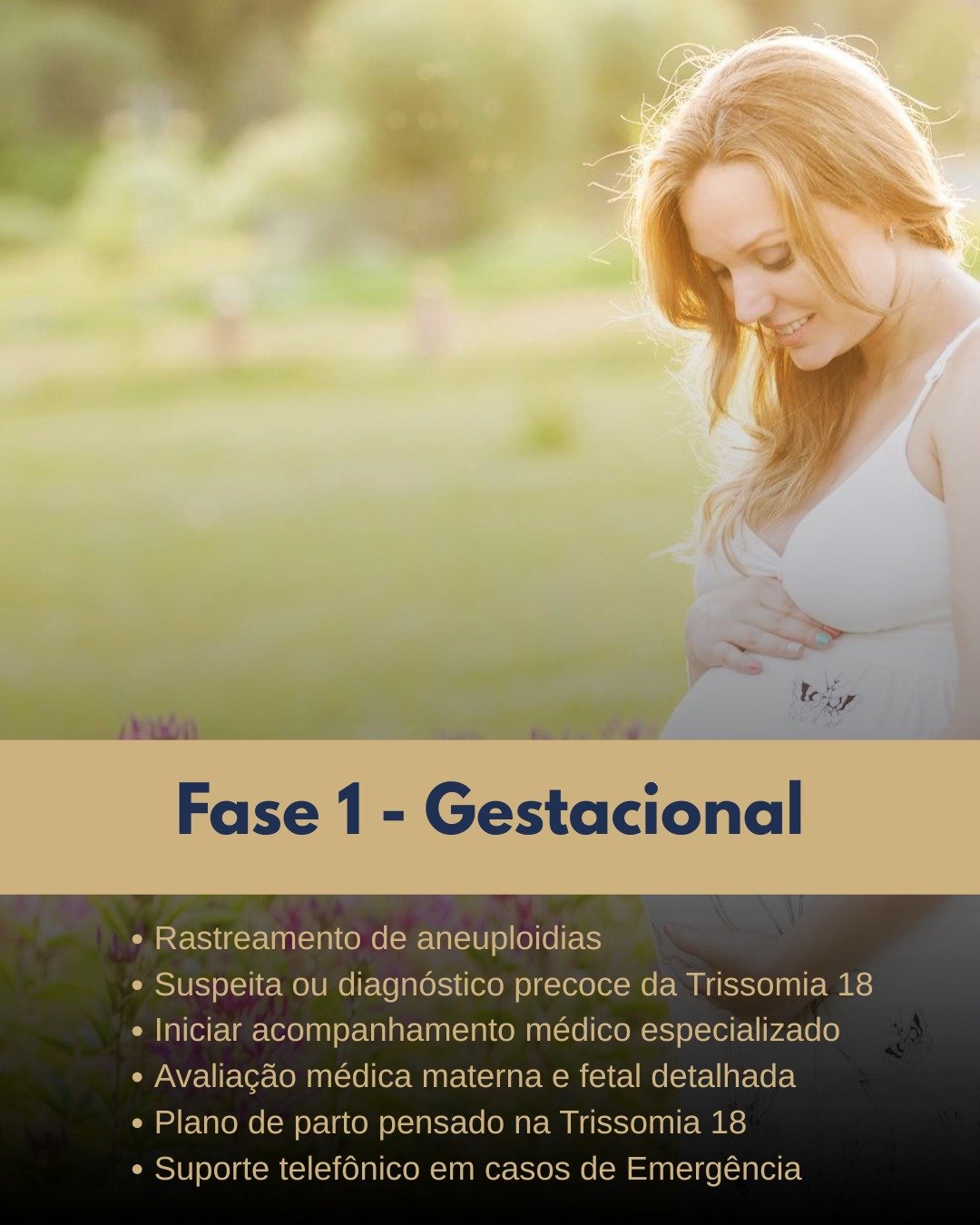 fase 1