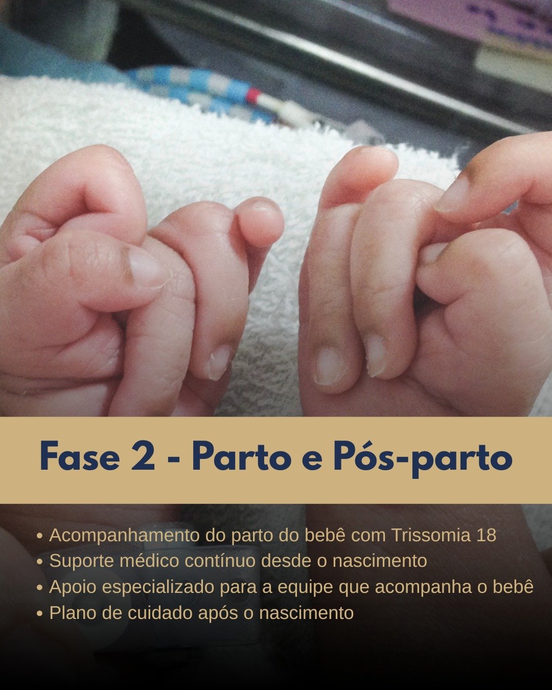 fase 2